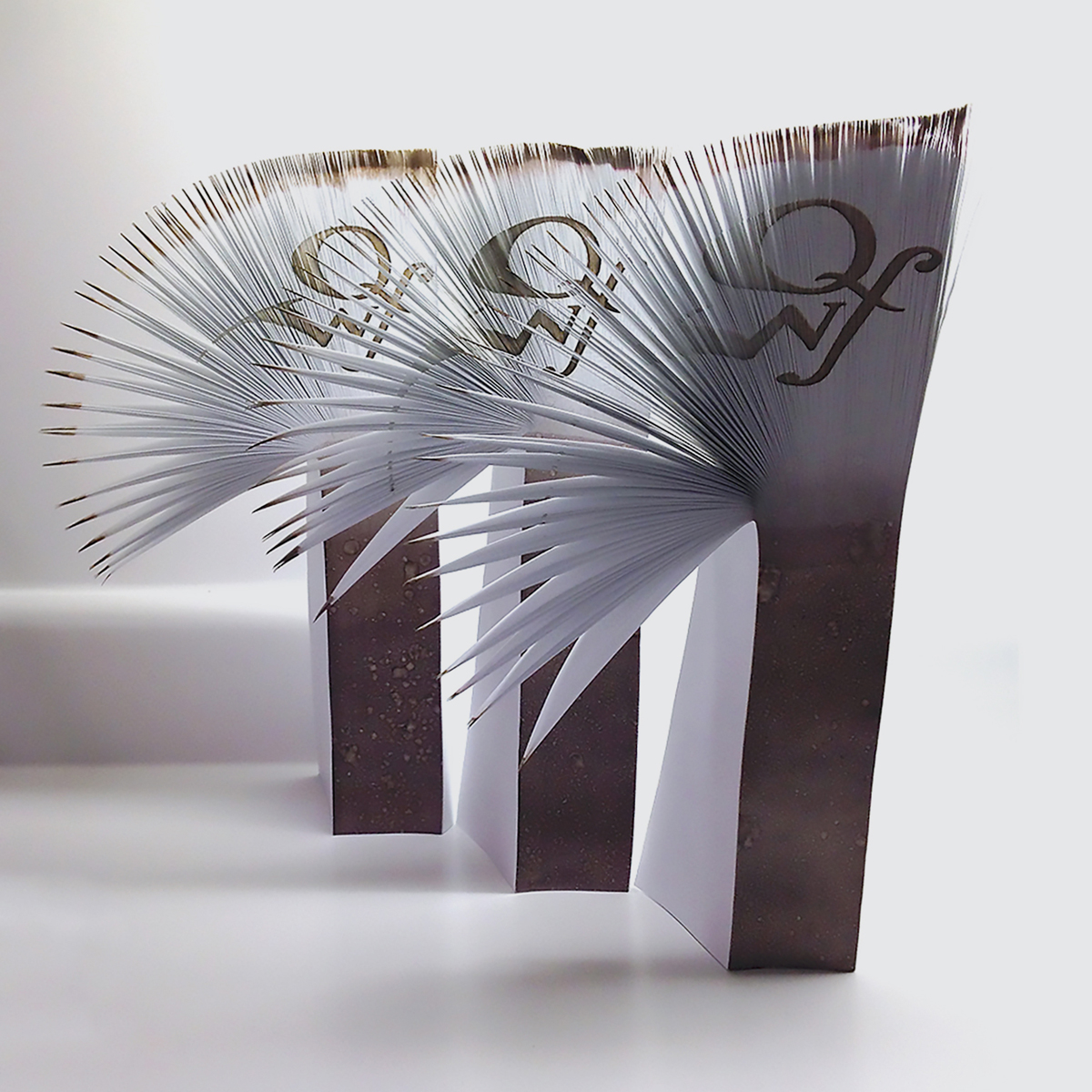 Paper sculpture